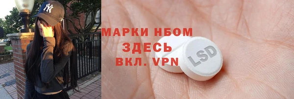 гашик Алексин