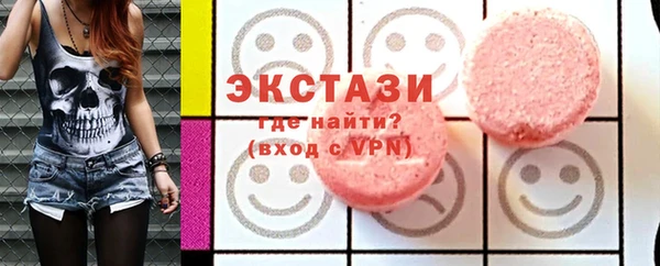 гашик Алексин