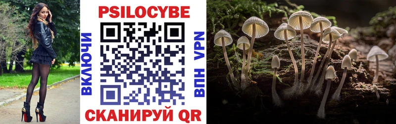 цены Мостовской сайты даркнета телеграм Галлюциногенные грибы Magic Shrooms ссылка на мегу сайт
